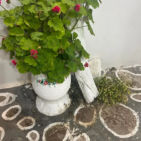 Styilel Milos 2 * Triovasálos